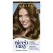 Clairol Nice'n Easy Permanent Hair Dye  6 Light Brown Hair Color  Pack of 1 6 Light Brown 6.26 Fl Oz (Pack of 1)