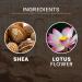 Tesori d'Oriente Crema Corpo Fior di Loto e Shea Body Cream with Lotus Flower and Shea 300 ml + 1 x Felce Azzurra Talcum Powder 100 g Pack of 6 - Buy Online on GoSupps.com
