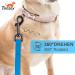 TOOZEY 5m Blue Training Lead for Dogs with Hand Loop - Waterproof and Robust Dog Leash Set - Ideal for Large to Small Dogs - Buy Online on GoSupps.com