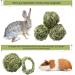 Buy Roundler 8-Piece Rabbit Toy Set | Natural Grass Balls for Guinea Pigs Rabbits Chinchillas & Hamsters | Tooth Care Chews & Chops - Ships Worldwide - Buy Online on GoSupps.com