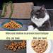 6 PCS Cat Bowls Cat Plate Cat Food Bowl Cat Food Dish Shallow Pet Bowls Kitten Food Bowl Cat Food Plate for Cats Fatigue Free Cat Feeding Bowls for Kittens and Small Animals Flat Cat Bowl - Buy Online on GoSupps.com