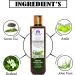 Blessfull Healing Organic Green Tea & Aloe Vera Natural Hair Conditioner 300 ml (Packing May Vary) - Buy Online on GoSupps.com