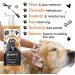 BUGALUGS Stinky Dog Shampoo with odour neutraliser fox poo shampoo for dogs with dog perfume vegan dog grooming dog shampoo for sensitive skin amazing puppy pet shampoo & conditioner (1x500ml) - Buy Online on GoSupps.com