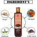 Blessfull Healing Organic Coffee Hair Cleanser | Shampoo 100 ML (Packing May Vary) 100 ml (Pack of 1) - Buy Online on GoSupps.com