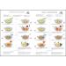 Paella Seasoning Mix with Saffron (3 Pack Inner) 2 Pack - Buy Online on GoSupps.com