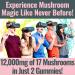 SHIZAM Brand Super-Food 17 Blend Mushroom Complex Gummies for Adults Chaga Lions Mane Cordyceps Reishi Lion's Mane Turkeytail Turkey Tail  Better Daily Supplement Alt for Capsules & Powder Vitamins 10 - Buy Online on GoSupps.com