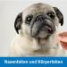 Kosmetex 250x Dog & Cat Ear Cleaning Swabs - Wide Cotton Head Cotton Tips for Effective Pet Hygiene - Buy Online on GoSupps.com