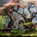 Ctpeng Aquarium Hole Decor - Art Deco Style for Stunning Aquascapes | International Shipping Available - Buy Online on GoSupps.com