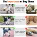 BEAUTYZOO Dog Boots 4PCS Set for Medium Large Dogs | Anti-Slip Waterproof Booties with Reflective Straps | Size 6 (2.6x3.0) | Black Outdoor Paw Protectors - Buy Online on GoSupps.com