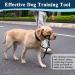 Durable Dog Head Necklace Halter - No Pulling Soft Headhaft & Safety Clip for Medium to XL Dogs - Perfect for Training & Walks - Buy Online on GoSupps.com