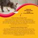 Meow Mix Wet Cat Food Tenders in Sauce with Real Chicken and Beef 78g Pack of 12 Chicken & Beef 78 g (Pack of 12) - Buy Online on GoSupps.com
