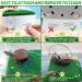 Keedolla Turtle Basking Platform: Large Green Grass Ramp for Aquarium - Ideal Tortoise Resting Terrace & Reptile Pier - Buy Online on GoSupps.com