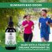 Body's Choice Liquid Chlorophyll Drops with Organic Peppermint Oil - Energy Boost & Skin Health - Alcohol Free, Gluten Free, Vegan, Non-GMO - Buy Online on GoSupps.com