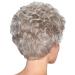 Buy B rbel Light Grey Wig - Stylish Neck Darker Design | International Shipping Available - Buy Online on GoSupps.com