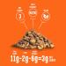Lakanto Keto Cinnamon Glazed Mixed Candied Nuts - No Sugar Added, Sweetened with Monk Fruit | 3 Net Carbs, Keto Diet Friendly, Vegan | On the Go Snack Anytime - Buy Online on GoSupps.com