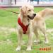 Puppia Dog Harness for Small & Medium Dogs - Soft Colorful Anti-Tension & Versatile for Puppies - Shop Now! - Buy Online on GoSupps.com