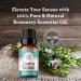 GuruNanda Vitamin E Oil (2 Fl Oz) 15000 IU Bottle & Rosemary Essential Oil 100% Pure & Natural 15ML Vitamin E Oil + Essential Oil - Buy Online on GoSupps.com