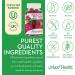 Elderberry Zinc Gummies with Vitamin C - Vegan Immune Support for Adults & Kids - 60 Organic Sambucus Gummies for Immunity Boost - Buy Online on GoSupps.com