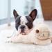 Pet Prime Cuddly Dog Toy - Heartbeat Plush Animal | Puppy Behavioral Aid | Soft Plush Bear for Dogs - Buy Online on GoSupps.com