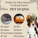 URINE FREE - Stain Plus 4 Oz / 118 ml - Eliminates Stains & Odors - Contains a Fragrance - Multipurpose Spotter & Odor Remover - Works On All Surfaces & Fabrics - Restaurants Home Pack of 1 - Buy Online on GoSupps.com