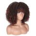 14-Inch Porsmeer Curly Afro Wig for Women | Fluffy Kinky Curly Bob in Dark Brown & Auburn | Volume Hair Wig for Black Women - Buy Online on GoSupps.com
