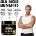 Sea Moss Electrolytes Hydration Powder Immune Support Sugar Free Mango Pineapple - Buy Online on GoSupps.com