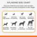 Nylabone Wishbone Dog Chew Toy for Adult Dogs - Bison Large/Giant Size | Durable Ergonomic Design | For Puppies and Adult Dogs | 1 Count - Buy Online on GoSupps.com