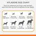 Nylabone Power Chew Dog Toy Keys Bacon Flavour Small/Regular - For Dogs up to 11kg 1 Count (Pack of 1) - Buy Online on GoSupps.com