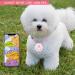 Photect Mini GPS Dog Tracker Pet Tracker Compatible with Bluetooth Portable Cat GPS Tracker Cat Collar Tracker Anti Lost Pet Locator GPS Tracking Locator for Dog Cat Pets Kids Key Luggage Wallet Pink - Buy Online on GoSupps.com