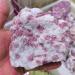 Crystal Rough Home Decor 80-560g 1pcs Natural Tourmaline of Plum Blossom Crystal Cluster Specimen Stones for Teaching Dream Home Decor Gifts Natural Crystal (Size : 2 (Size : 80-100g) - Buy Online on GoSupps.com