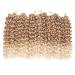 GoGo Curl Crochet Hair 18inch Ombre Deep Wave Synthetic Twist Braid Extensions (6 Packs, 27/613) - Buy Online on GoSupps.com