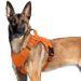 Rabbitgoo dog harness Large dogs anti -train crockery dog adjustable with handles widened robust and wear -resistant tactical dog harness with metal buckles for hiking (XL orange) XL (1 Pack) Orange