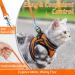 Rabbitgoo Cat Dishes & Cat Linen Set - Adjustable Soft Leash with Reflective Stripes for Cats & Kittens - Bright Orange (1 Pack) - Buy Online on GoSupps.com