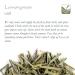 Organic Lemongrass Tea | 100g Dried Herbal Citronella | Premium Quality Herbal Tea for International Shipping - Buy Online on GoSupps.com