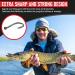 Fishing Hooks Assortment for Freshwater - Small Panfish, Bass, Trout, Bluegill - Ideal for Bass Fishing - Buy Online on GoSupps.com