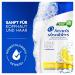 Head & Shoulders Citrus Fresh Anti-Dandruff Shampoo 300ml - Daily Use for Greasy Hair 100% Dandruff Protection & Fresh Citrus Scent - Buy Online on GoSupps.com