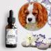 Bach Flowers Fearful Animals - This mixture of Bach flowers will allow your pet to manage their fears and anxieties with more cold blood. 30 ml Pack of 2 - Buy Online on GoSupps.com