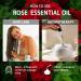 Apple Fresh Essential Oil and Rose Essential Oil 16 Fl Oz - Apple Fresh & Rose Oil for Diffuser Aromatherapy Home Fragrance Skin & Hair Care DIY Candle & Soap Making Yoga - Buy Online on GoSupps.com