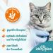 Ida Plus Dental Care Mini Sticks for Cats - Anti-Plaque Treats Freshens Breath Cleans Teeth - 80 Delicious Pieces - Buy Online on GoSupps.com