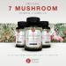 Palm Nature 7 Mushroom Complex - High Strength Extracts - 30% Beta-Glucans - 90 Capsules - 1500mg Per Serving - Buy Online on GoSupps.com