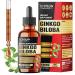 Tenmido Ginkgo Biloba 2500mg - Herbal Extract Liquid Supplement | Alcohol-Free Vegan Non-GMO - 30ml 1 Fl OZ