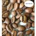 CAFES GUILIS DESDE 1928 AMANTES DEL CAFE Natural Coffee in Gold Beans Wet Polish 1 kg - Buy Online on GoSupps.com