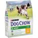 Dog Chow Purina Aliments pour Chien Adulte avec Poulet, 4 Sacs de 2,5 kg