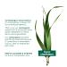 GARNIER Bio Organic Lemongrass Face Gel Wash - 150ml for Normal & Combination Skin | Shop Internationally - Buy Online on GoSupps.com