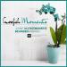 Buy Natural Loofah Sponge | Vegan & Plastic-Free Shower Scrub | Loofah Moments 22 cm - Buy Online on GoSupps.com