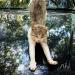 Gardigo Dog and Cat Defense - Effective Animal Deterrent | Shop Internationally - Buy Online on GoSupps.com