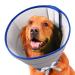 Boomaker Extra Soft Dog Cone Alternative After Surgery Breathable Dog Cones for Large Medium Small Dogs Lightweight Dog Recovery Collar for Pet Adjustable E-Collars for Dog Elizabethan Collar (XL) XL Grey