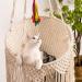 MewooFun Macrame Cat Hammock: Boho Hanging Bed for Indoor Cats - Sleeping, Playing, Climbing, Lounging - Buy Online on GoSupps.com