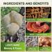 Lions Mane Supplement Capsules - Mushroom Supplement With Lions Mane Cordyceps Reishi Turkey Tail Shiitake - Lions Mane Supplement For Memory Focus & Immune Support - 115 Vegan Mushrooms Capsules - Buy Online on GoSupps.com