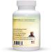 Dr. Clark Vitamin B1 500mg Supplement - 100 Capsules | High Potency Thiamine for Energy & Metabolism Support - Buy Online on GoSupps.com